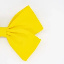 Lazo clásico amarillo