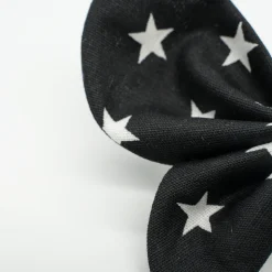 Pinza mariposa negra estrellas