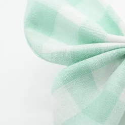 Pinza mariposa vichy verde mint